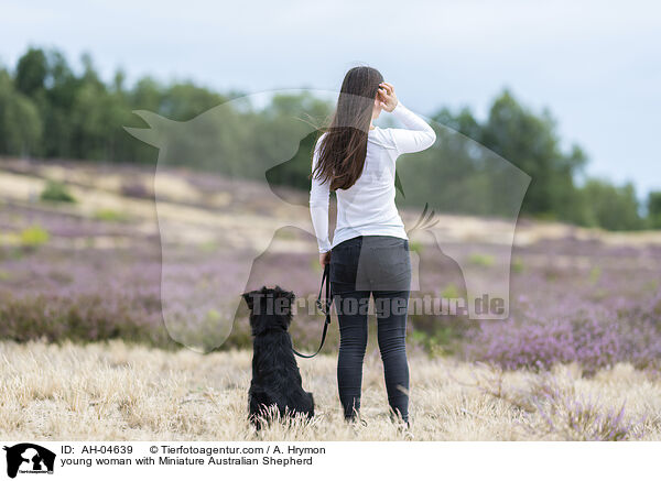 junge Frau mit Miniature Australian Shepherd / young woman with Miniature Australian Shepherd / AH-04639