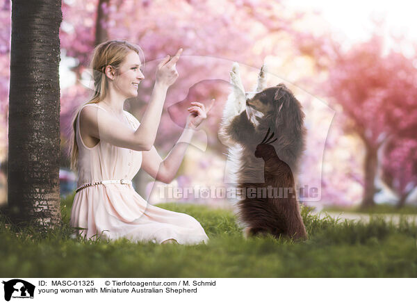 junge Frau mit Miniature Australian Shepherd / young woman with Miniature Australian Shepherd / MASC-01325