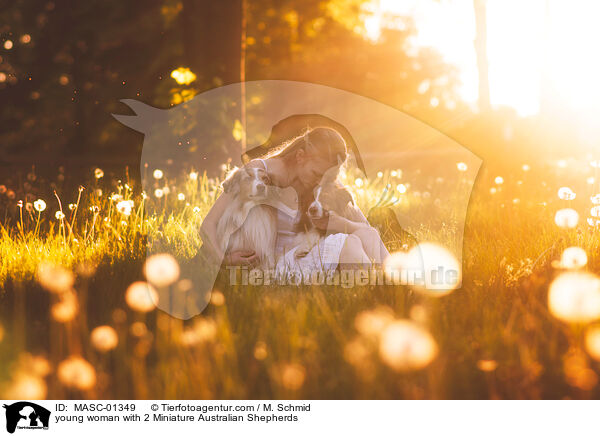 junge Frau mit 2 Miniature Australian Shepherds / young woman with 2 Miniature Australian Shepherds / MASC-01349