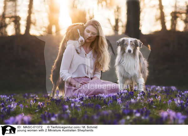 junge Frau mit 2 Miniature Australian Shepherds / young woman with 2 Miniature Australian Shepherds / MASC-01372