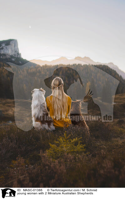 junge Frau mit 2 Miniature Australian Shepherds / young woman with 2 Miniature Australian Shepherds / MASC-01386