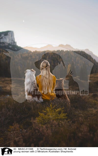 young woman with 2 Miniature Australian Shepherds / MASC-01386