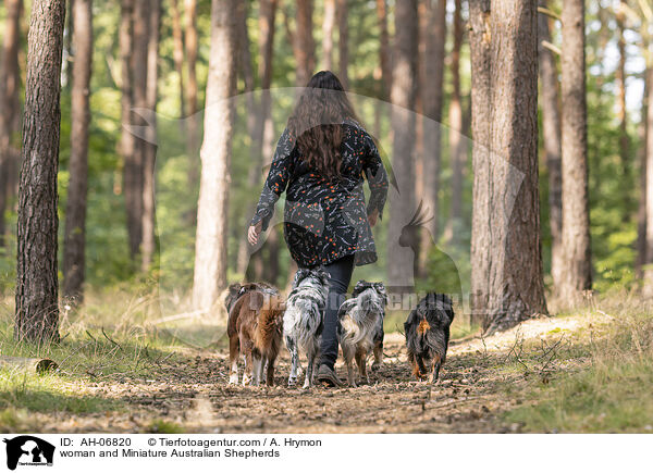 woman and Miniature Australian Shepherds / AH-06820