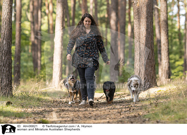 Frau und Miniature Australian Shepherds / woman and Miniature Australian Shepherds / AH-06821