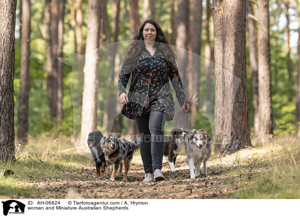 Frau und Miniature Australian Shepherds / woman and Miniature Australian Shepherds / AH-06824