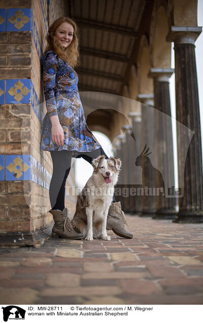 Frau mit Miniature Australian Shepherd / woman with Miniature Australian Shepherd / MW-28711