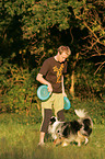 Miniature Australian Shepherd with frisbee