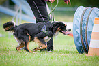 Agility Tunnel