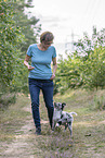 training with young Miniature Australian Shepherd