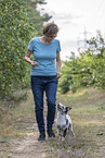 training with young Miniature Australian Shepherd