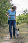 training with young Miniature Australian Shepherd