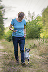 training with young Miniature Australian Shepherd