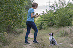 training with young Miniature Australian Shepherd