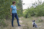 training with young Miniature Australian Shepherd