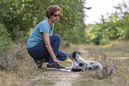 training with young Miniature Australian Shepherd