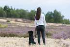 young woman with Miniature Australian Shepherd