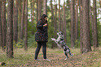 woman and Miniature Australian Shepherd