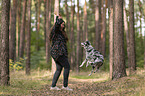 woman and Miniature Australian Shepherd