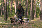 woman and Miniature Australian Shepherds