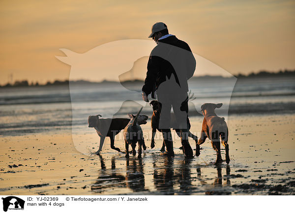 Mann mit 4 Hunden / man with 4 dogs / YJ-02369
