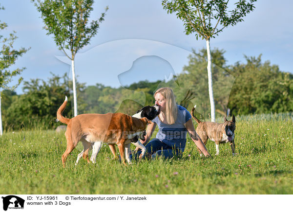 Frau mit 3 Hunden / woman with 3 Dogs / YJ-15961