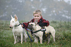 girl with dogs