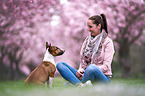 woman with Miniature Bull Terrier