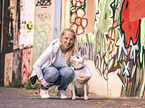 white Miniature Bull Terrier