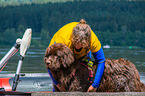 Newfoundland is trained as a water rescue dog