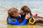 Newfoundland is trained as a water rescue dog