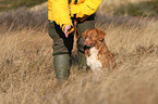 sitting Toller