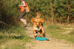 running toller