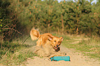 running toller