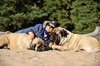 wom and Old English Mastiffs