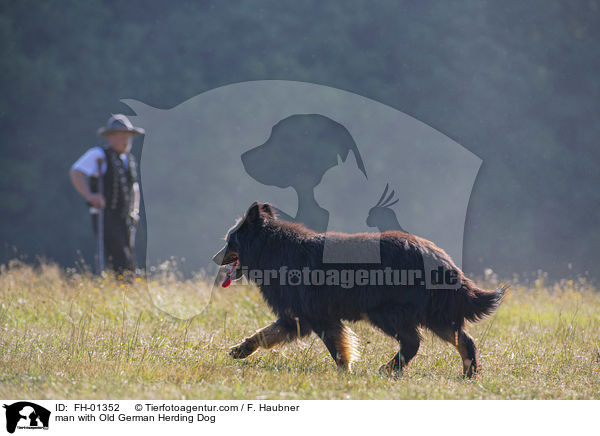 Mann mit Gelbbacke / man with Old German Herding Dog / FH-01352