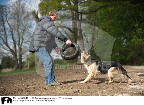 Mann spielt mit Altdeutscher Schferhund / man plays with Old German Shepherd / YJ-02848