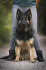 woman with Old German Shepherd