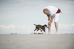 man and young Olde English Bulldog