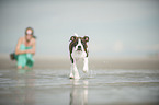 woman and young Olde English Bulldog