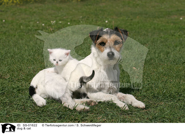 Hund & Katze / dog & cat / SS-01622