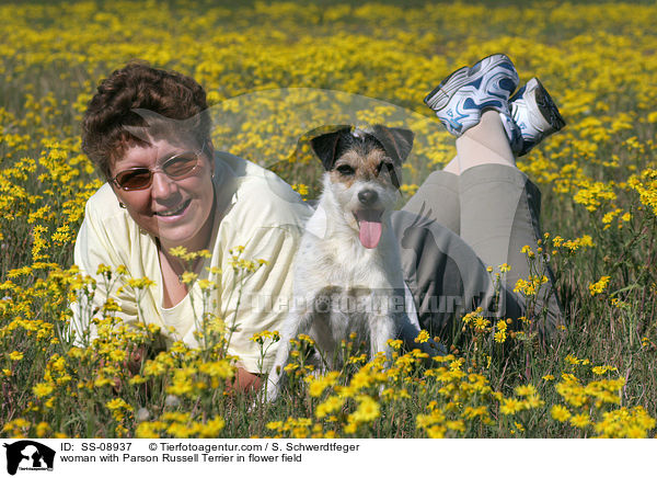 Frau mit Parson Russell Terrier auf Blumenwiese / woman with Parson Russell Terrier in flower field / SS-08937