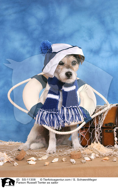 Parson Russell Terrier als Matrose / Parson Russell Terrier as sailor / SS-11308