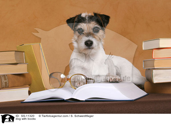 Hund vor Bchern / dog with books / SS-11320