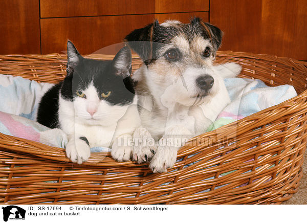 Hund und Katze im Korb / dog and cat in basket / SS-17694