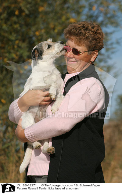 Parson Russell Terrier leckt Frau an / Parson Russell Terrier licks face of a woman / SS-18271