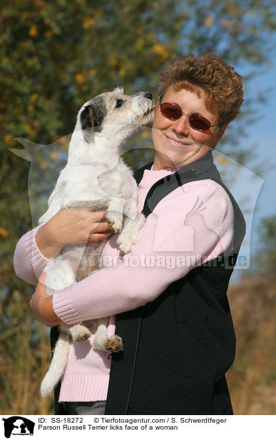 Parson Russell Terrier leckt Frau an / Parson Russell Terrier licks face of a woman / SS-18272