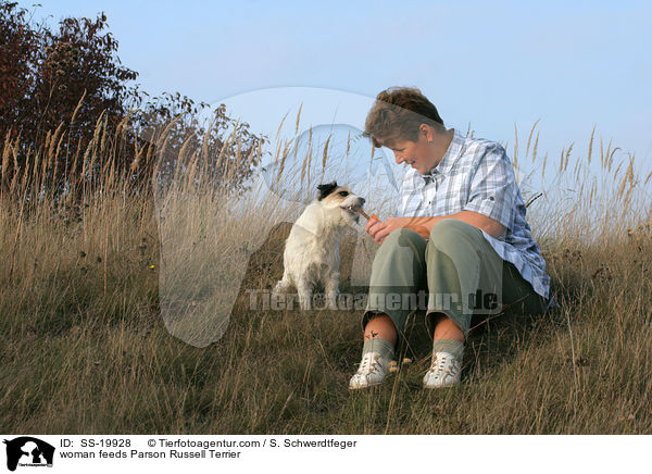 Frau und Parson Russell Terrier / woman and Parson Russell Terrier / SS-19928
