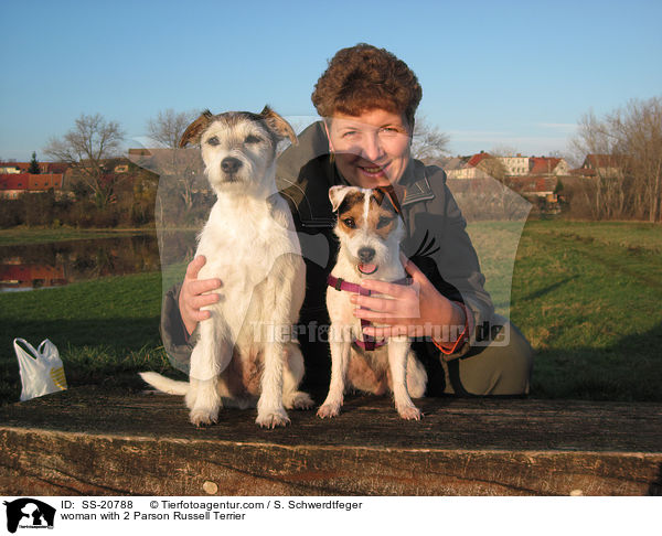 Frau mit 2 Parson Russell Terriern / woman with 2 Parson Russell Terrier / SS-20788