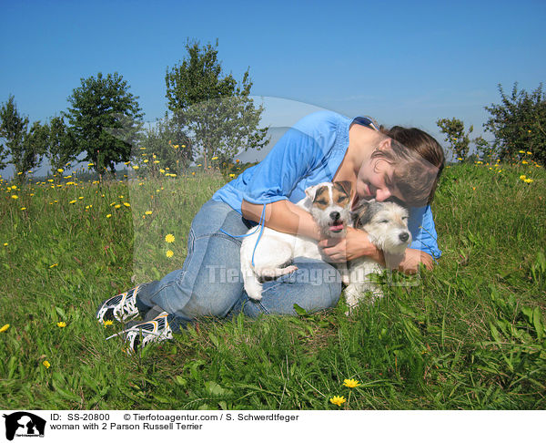 Frau mit 2 Parson Russell Terriern / woman with 2 Parson Russell Terrier / SS-20800