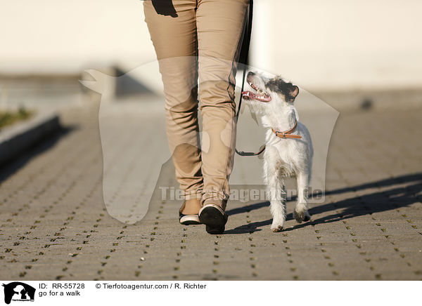 Gassi gehen / go for a walk / RR-55728